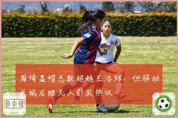周琦盖帽总数超越王治郅，但移动长城后继无人引发热议